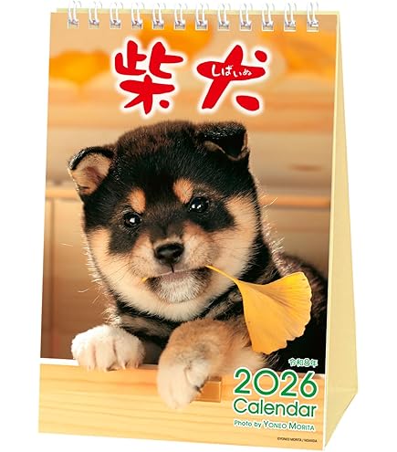 Amazon | アクティブコーポレーション 2026 カレンダー 壁掛け 森田