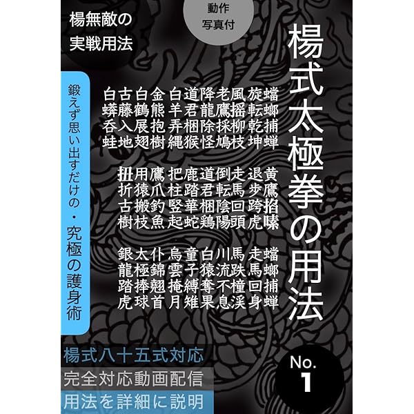 Amazon.co.jp: 奥妙に触れる！ 董英傑の「太極拳釈義」 上巻 電子書籍