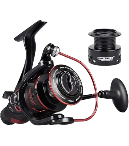 Piscifun Alijoz Baitcasting Reels Size 300 Low Profile Baitcaster