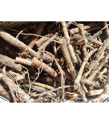 今年最後のタラの芽２キロ Amazon.co.jp: タラの芽 2kg : DIY・工具・ガーデン