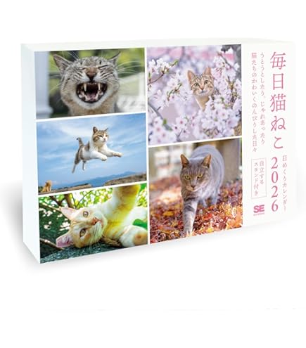 Amazon | 日めくりニャンコ！2025年リフィル(卓上日めくり