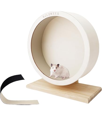 Amazon.co.jp: Exsotic トレッドミルホイール 直径36cm 床置き式の回し