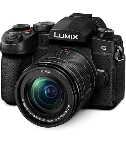 Panasonic LUMIX DC-FZ85D-K Digital Camera, 60x Optical, Zoom