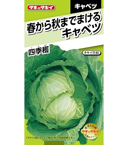 Amazon | サカタのタネ 実咲野菜2010 やわらかたけのこキャベツ みさき