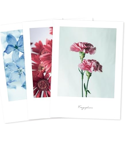 Amazon.co.jp: 赤い花をモチーフにした絵画 額入りポスター ベルナール