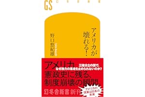 アメリカが壊れる! (幻冬舎新書 786)