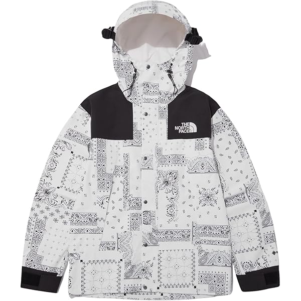 ジャケット・アウター THE NORTH FACE MOUNTAIN JACKET GTX THE NORTH FACE ノースフェイス ダウンジャケット ゴアテックス