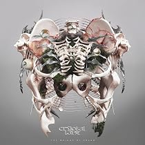 Amazon.co.jp: PHOBIA SYNDROME - CVLTE (特典なし): ミュージック
