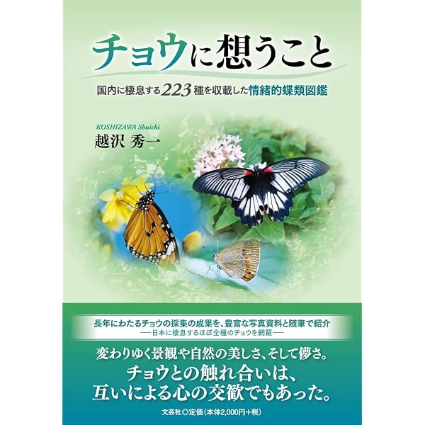 北海道の蝶の生活史図鑑 蝶好きの12か月 | 永盛 俊行 |本 | 通販 | Amazon