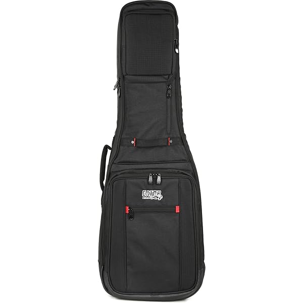 RITTER エレクトリックベース2本用　ギグバック RITTER RGB-4DB ベースケース 2本収納可 ギグバッグ リッター