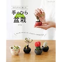 カジュアルに楽しむ手のひら盆栽 (ブティック・ムックno.1543) | ビリ