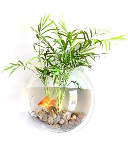 Amazon | 金魚鉢 水槽 壁掛け水槽 花瓶 半球型 アクリルフィッシュ