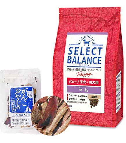 Amazon.co.jp: セレクトバランス パピー ラム小粒 7kg : ペット用品