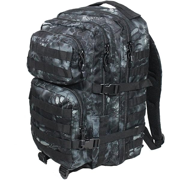 Amazon | Mil-Tec バックパック US Assault Pack モールシステム