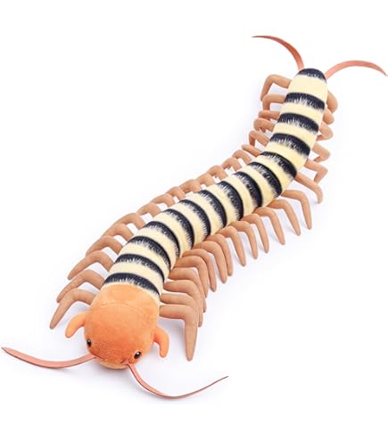 Amazon.co.jp: 昆虫 MANIAC ロージーメープルモス モモイロ