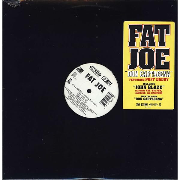 専用★fat joe ★digable planet ★ 他計3枚 Amazon.co.jp: Represent: ミュージック