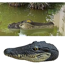 Amazon.co.jp: Shnmersy 浮かぶワニの頭 ワニ 置物 本物そっくり