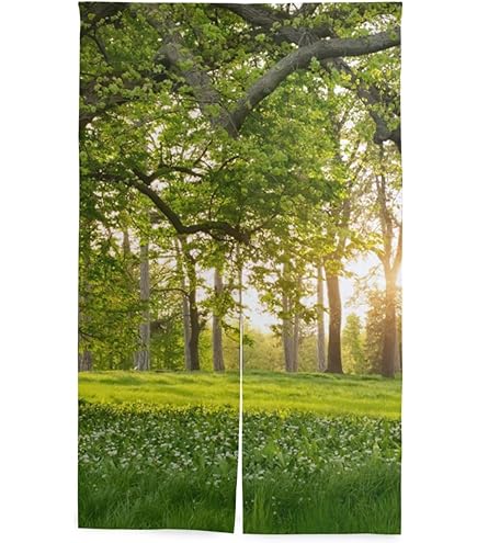 little　のれん Amazon｜SAMAU のれん 遮光 間仕切り 暖簾 森林 森柄 風景 北欧