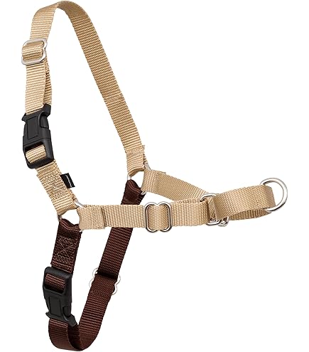 PetSafe デラックス イージーウォークハーネス Lサイズ ローズレッド