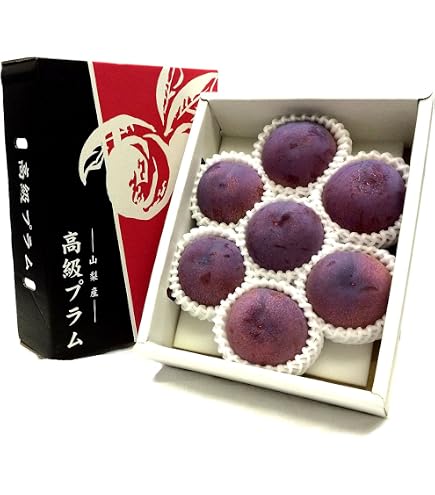 大理石　インテリア　すもも　プラム Amazon.co.jp: すもも 大石早生 プラム 1.6kg 400g×4パック 福岡産