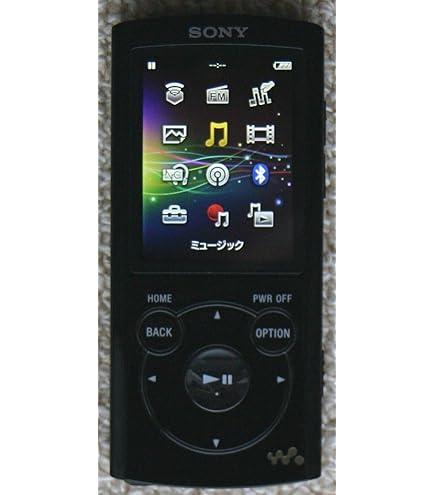 Amazon.co.jp: Sony Walkman NW-S744/V S Series, Equipped with Noise