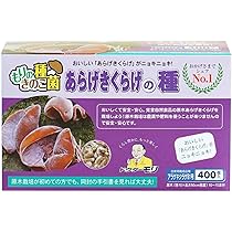 Amazon | 森のきのこ倶楽部 しいたけ種駒 森290号 にく丸 (800駒