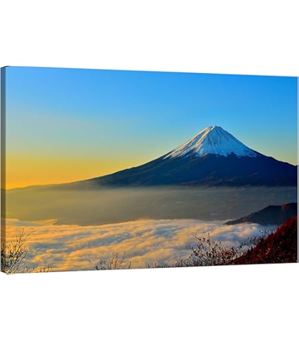 Amazon.co.jp: 日本写真 静寂の富士山 インテリアモノクロアート額装