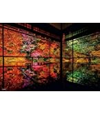 Amazon | エポック社 300ピース ジグソーパズル 日本風景 秋彩る