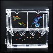 【新品未使用】　エキゾチックGEM 13P エキゾチック・ジェム - ハイスポーツ社 ：信頼のボウリング用品販売