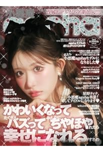 小悪魔agehaメモリアルBook (主婦の友ヒットシリーズ) | メディアス