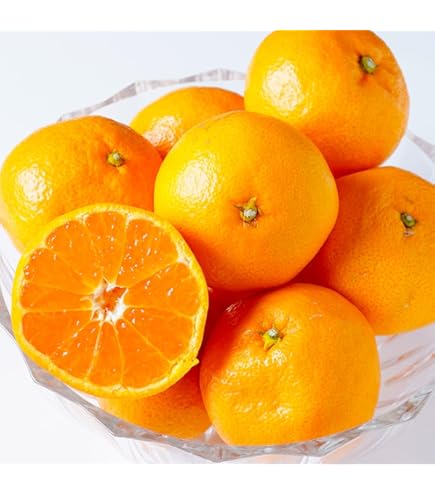 Amazon.co.jp: 愛媛産 味ピカ 小太郎みかん 2kg 30個〜50個 化粧箱入