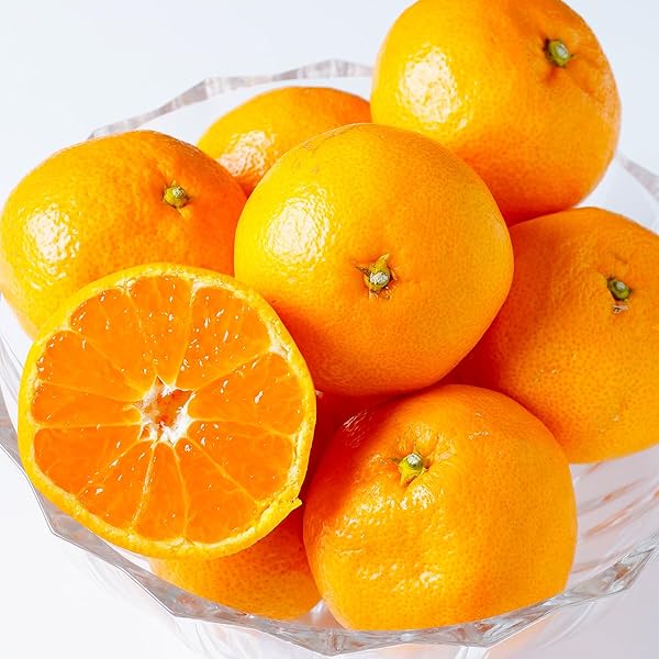 Amazon.co.jp: お歳暮 みかん 夢の恵 青秀 L～Sサイズ 4kg プレミアム