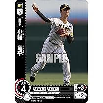 プロ野球カード 世界タイ755号 Amazon.co.jp: プロ野球カードゲーム ドリームオーダー セ