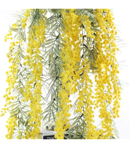 Amazon | ミモザたっぷり スワッグ ブーケ 花束 ドライフラワー
