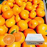【西浦みかん4.5キロ】みかん4.5kg 箱みかん ブランド蜜柑 訳ありみかん 寿太郎 お歳暮 由良 日南 青島 早生 静岡産 沼津 mikan ミカン 蜜柑 果物 フルーツ 柑橘 食品 お礼 お取り寄せ 訳あり果物 柑橘類 ギフト お土産 誕生日 