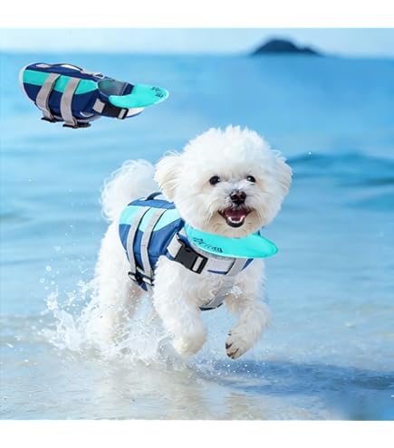 Amazon | EZYDOG(イージードッグ) [正規代理店品] DFDスタンダード