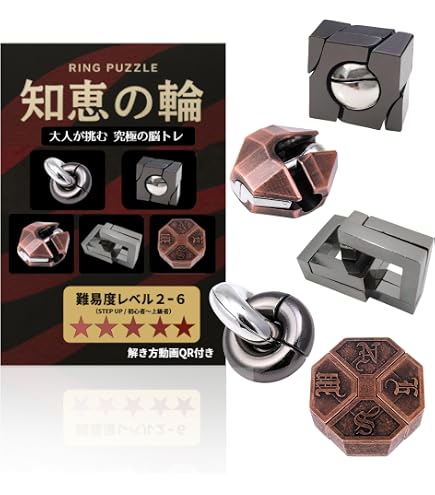 Amazon.co.jp: 知恵の輪 大人 パズル 5個セット 高難易度 メタルパズル