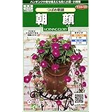 サカタのタネ 実咲花6020 朝顔 つばめ朝顔 00906020