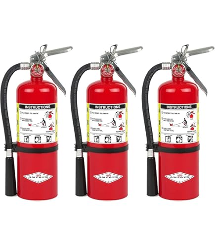 Amazon.co.jp: Amerex B417T ABC ドライケミカル消火器 – 2.5