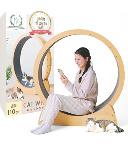 Amazon | One Fast Cat [ALLFORWAN'sLIFE] インタラクティブおもちゃ