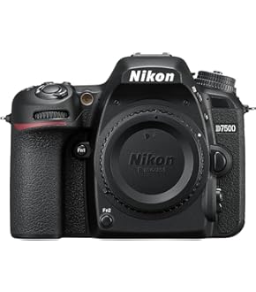 Amazon.co.jp: Nikon 単焦点マイクロレンズ AF-S DX Micro