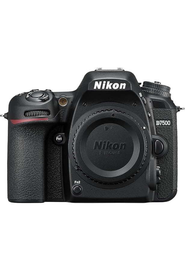 Amazon.co.jp: 今すぐ使えるかんたんmini Nikon D7500 基本&応用 撮影