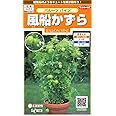 サカタのタネ 実咲花7550 風船かずら バルーンバイン 00907550