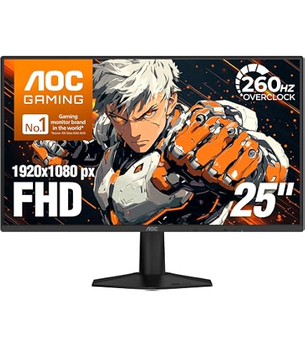 Acer 24.5