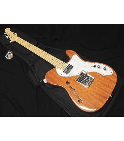 Amazon | FGN FUJIGEN NTE110MMHT TBL フジゲン Neo Classic SERIES
