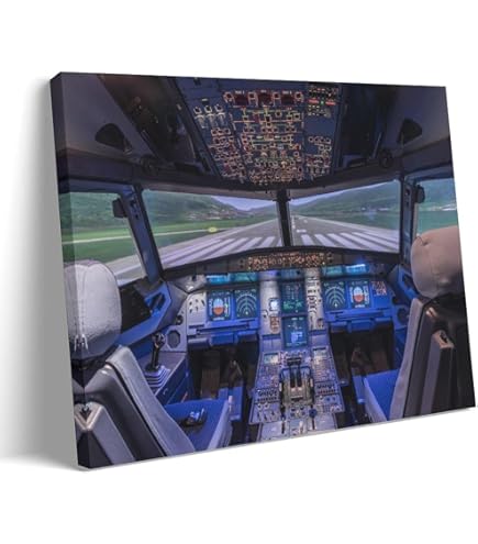 希少】DC-9 計器板 コックピット 実装品 レジ番あり 航空 希少】DC-9 計器