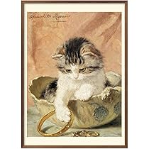 71z3ExFJ-pL._AC_UL210_SR210,