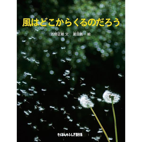 Amazon.co.jp: わたしのスカート (たくさんのふしぎ傑作集) eBook