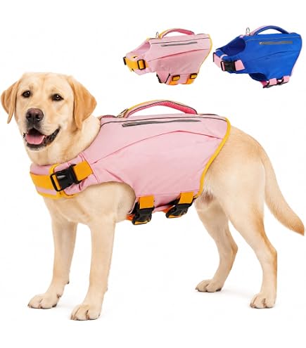 Amazon | EZYDOG(イージードッグ) [正規代理店品] DFDスタンダード