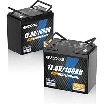Amazon.co.jp: 12.8V 100Ah リン酸鉄リチウムイオンバッテリー 2個
